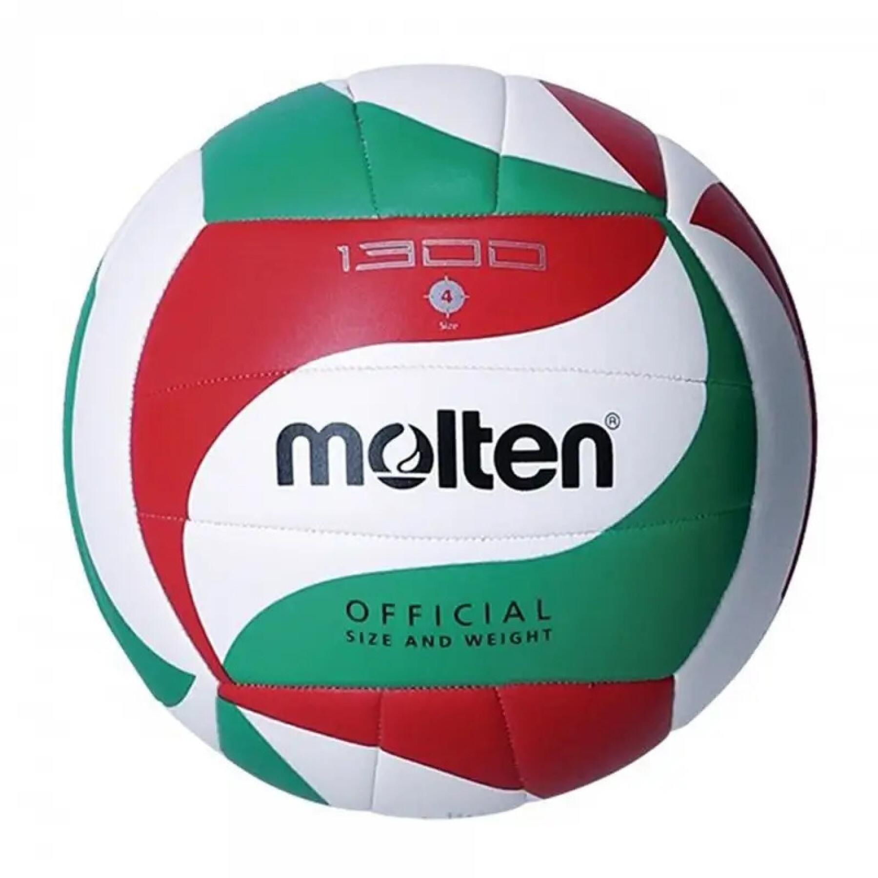 Volleybal Molten 300