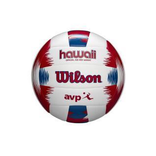 Ballen Wilson Hawaii AVP