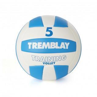 Tremblaytraining volleybal