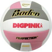 Volleybal Baden Sports Perfection