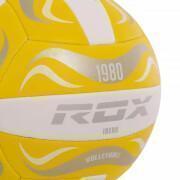Volleybal Rox R-Ibero
