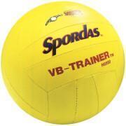 Volleybal voor kinderen Spordas Touch VB-Trainer